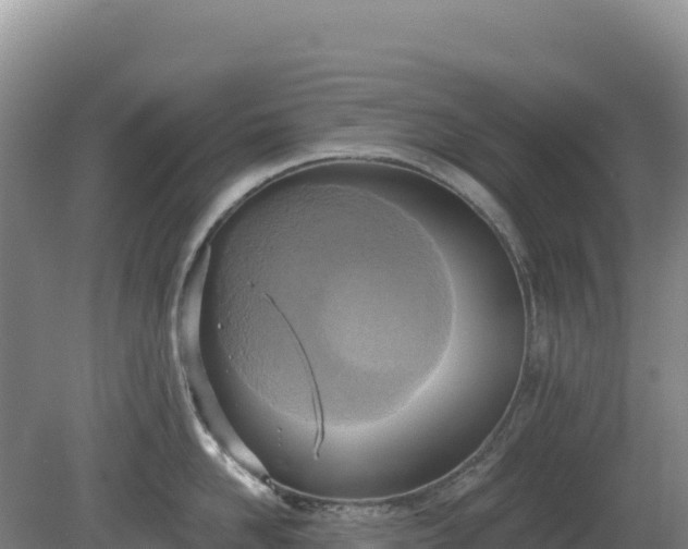 X0000081300958200701181832