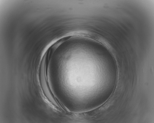 X0000081300960200701181832