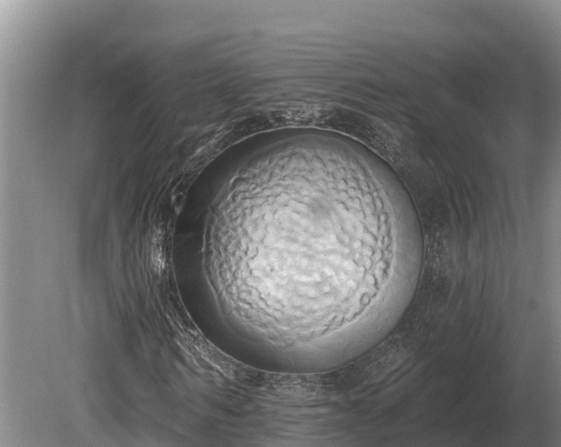 X0000081300962200701181831