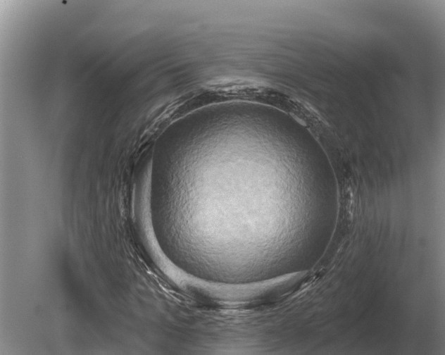 X0000081300965200701181831