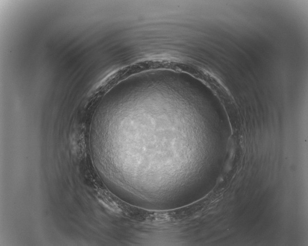 X0000081300968200701181831