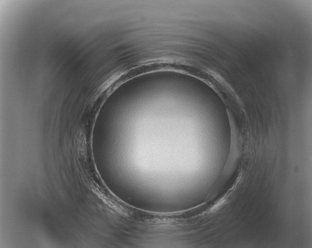 X0000081300969200701181831