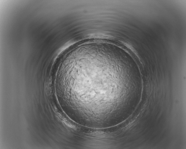 X0000081300971200701181831