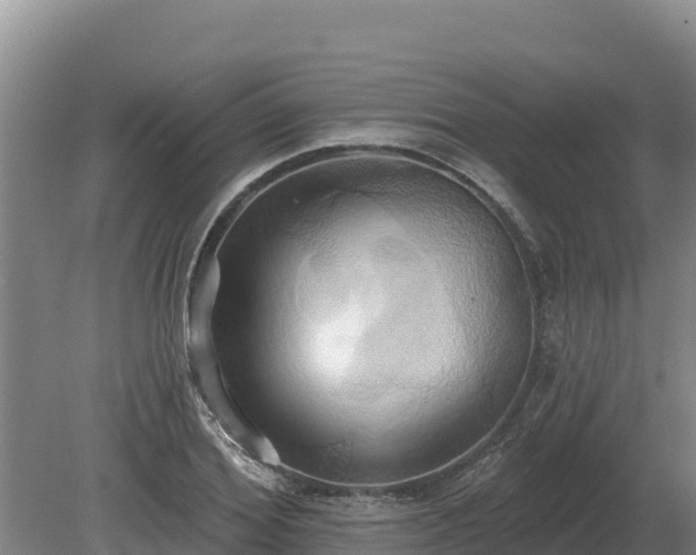 X0000081300980200701181831