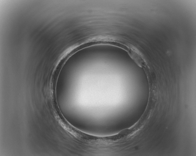 X0000081300981200701181831