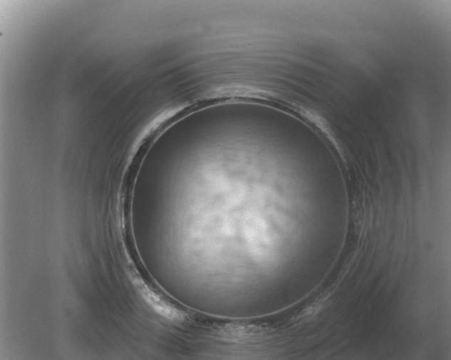 X0000081300987200701181831