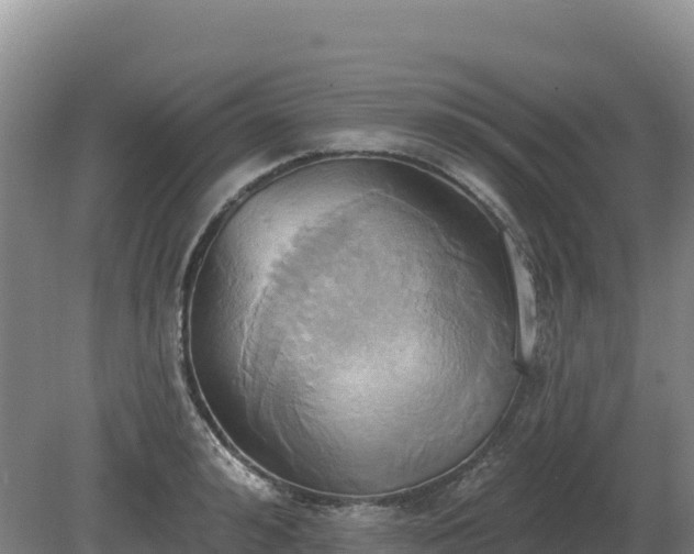 X0000081300992200701181830