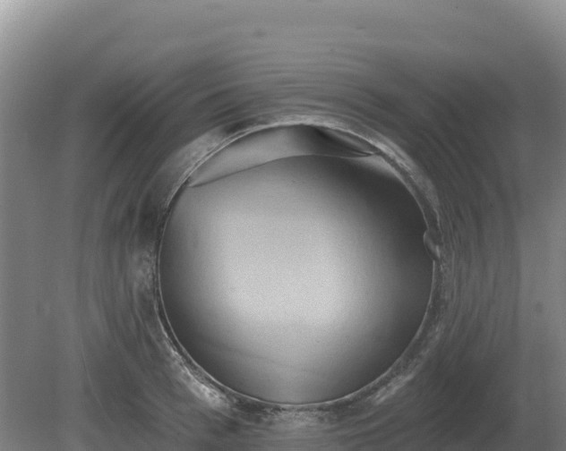 X0000081300993200701181830