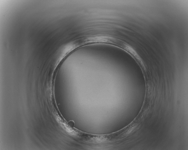 X0000081300994200701181830