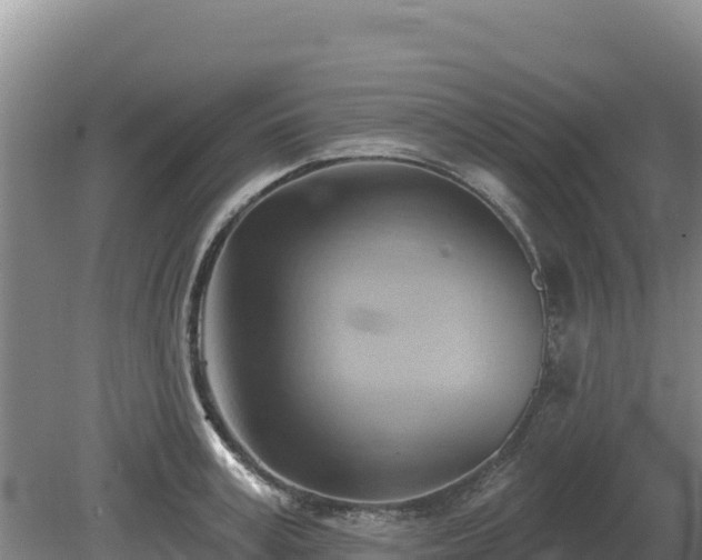 X0000081300995200701181830