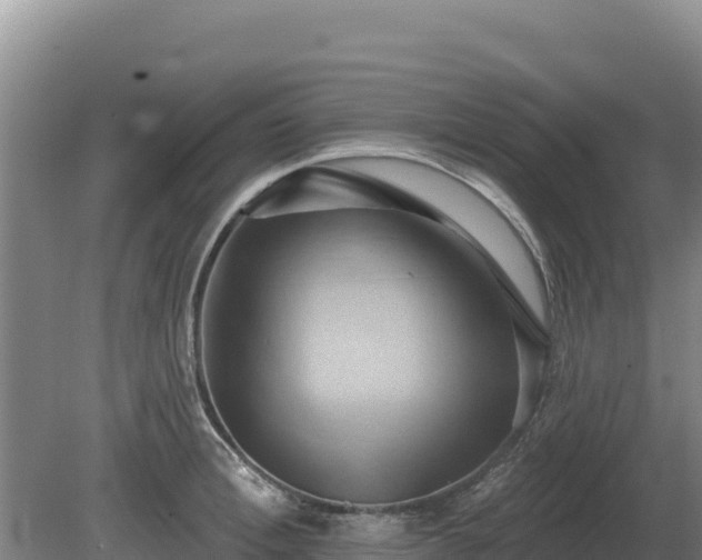 X0000081300996200701181830