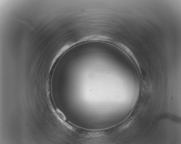 X0000081300997200701181830