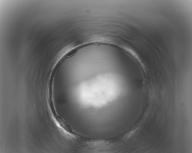 X0000081300999200701181830