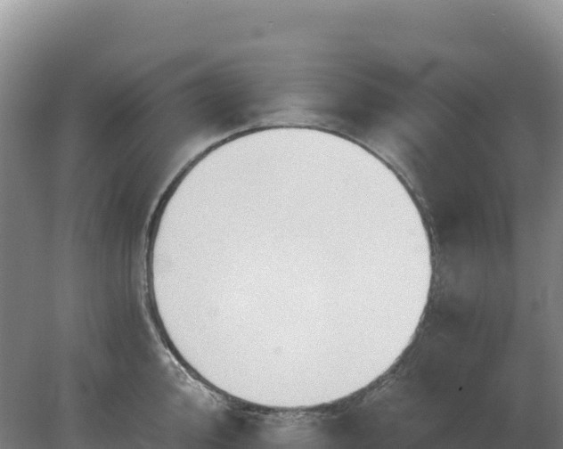 X0000081301000200701181830