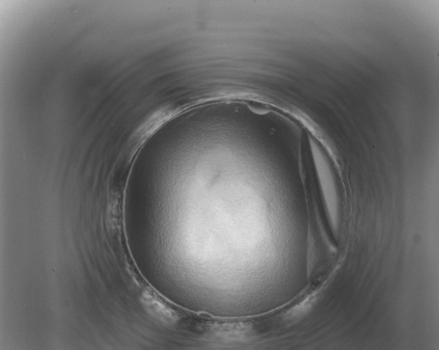 X0000081301001200701181830