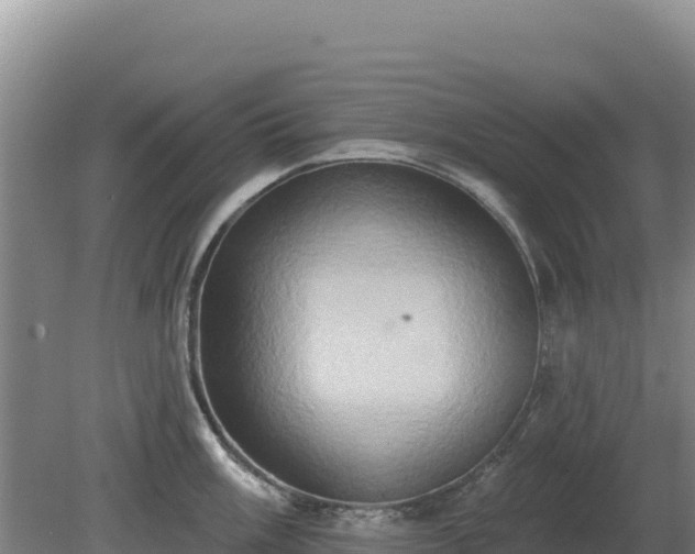 X0000081301003200701181830