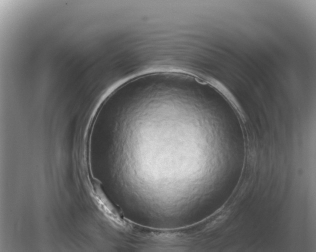 X0000081301004200701181830