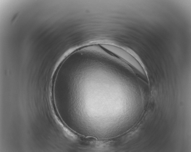 X0000081301005200701181830