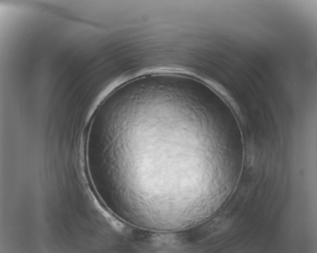 X0000081301006200701181830