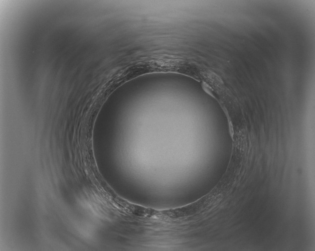 X0000081301009200701181829