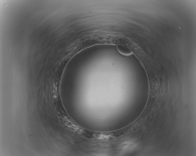 X0000081301013200701181829