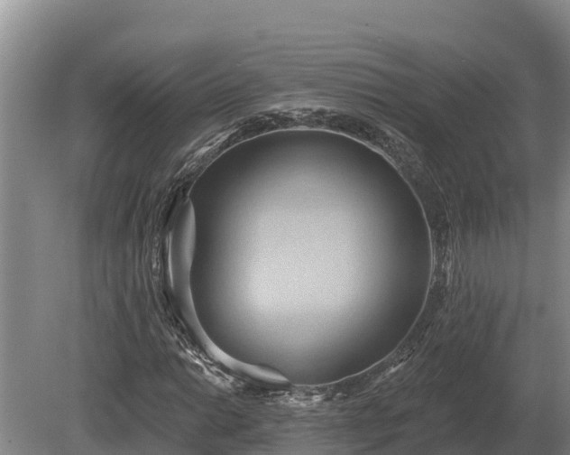 X0000081301014200701181829