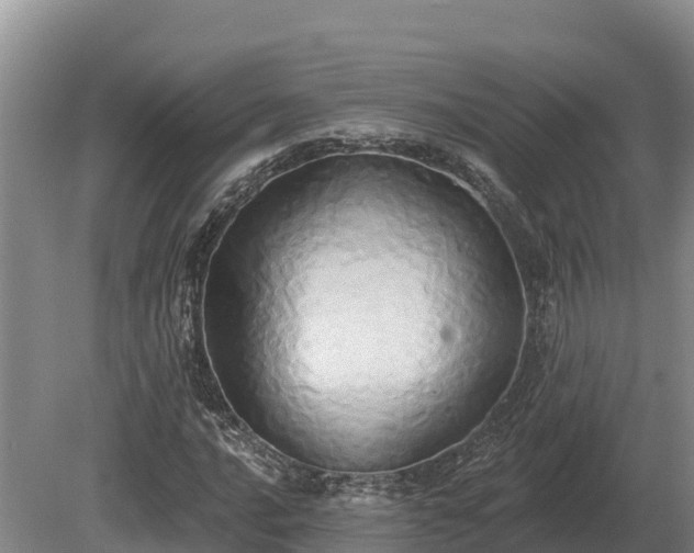 X0000081301016200701181830