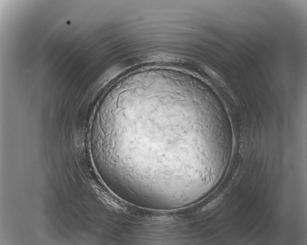 X0000081301017200701181830