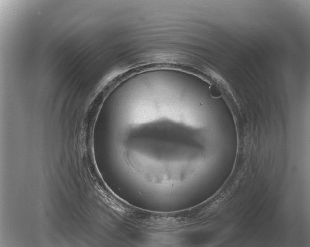 X0000081301019200701181830