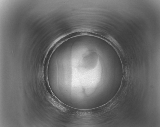 X0000081301020200701181830