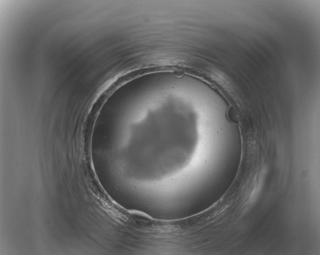 X0000081301023200701181830