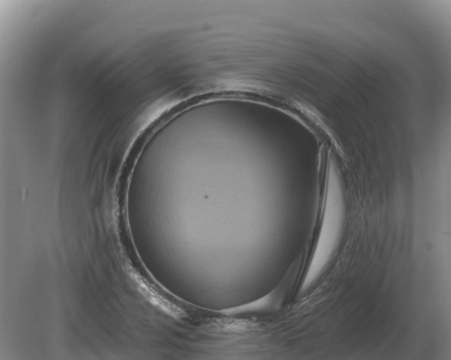 X0000081301024200701181830