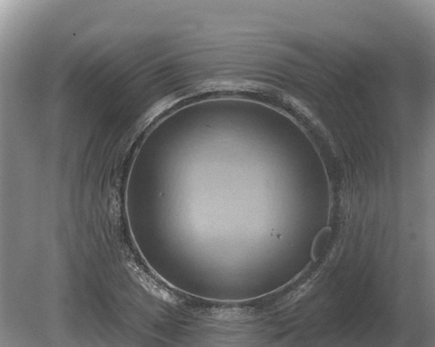 X0000081301025200701181830