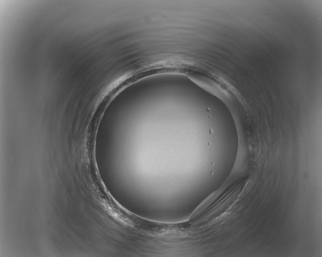 X0000081301026200701181830