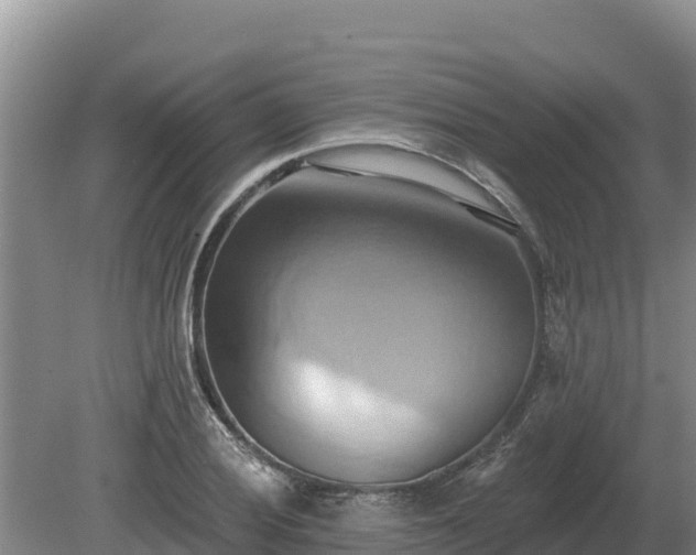 X0000081301028200701181830