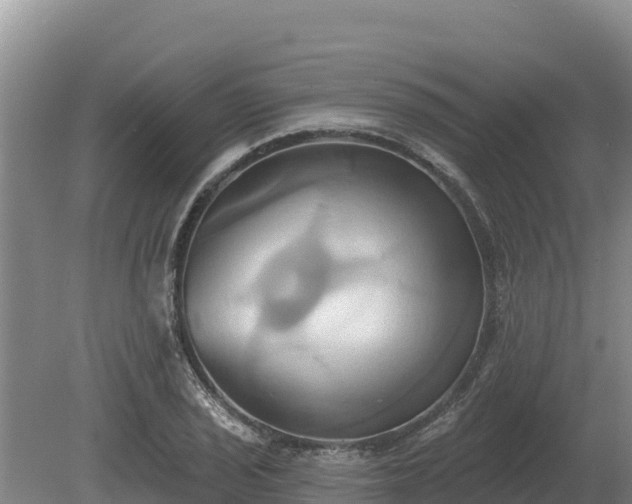 X0000081301029200701181830