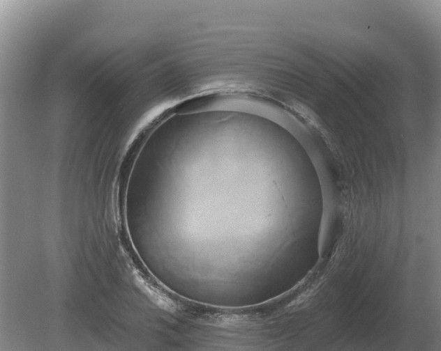 X0000081301030200701181830