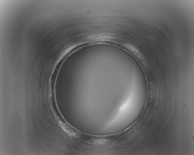 X0000081301031200701181830