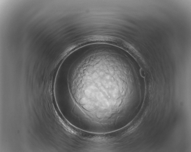 X0000081301033200701181830