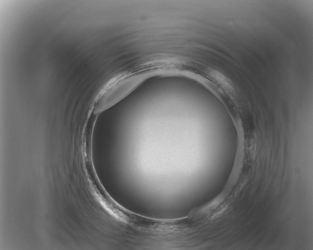 X0000081301034200701181830