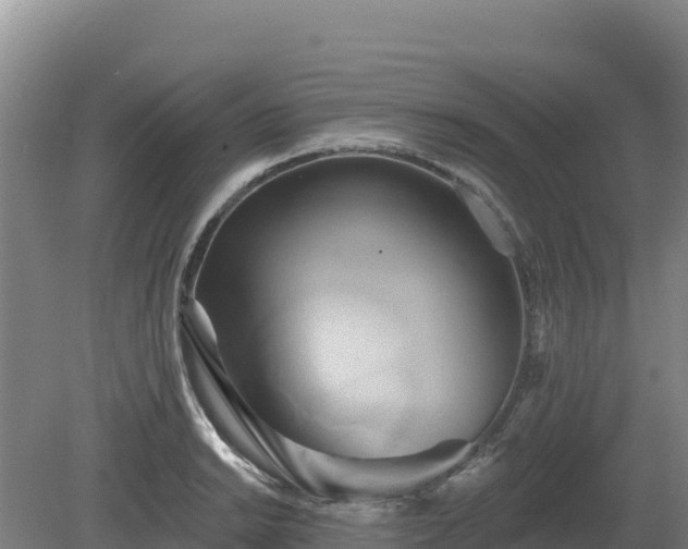 X0000081301038200701181830