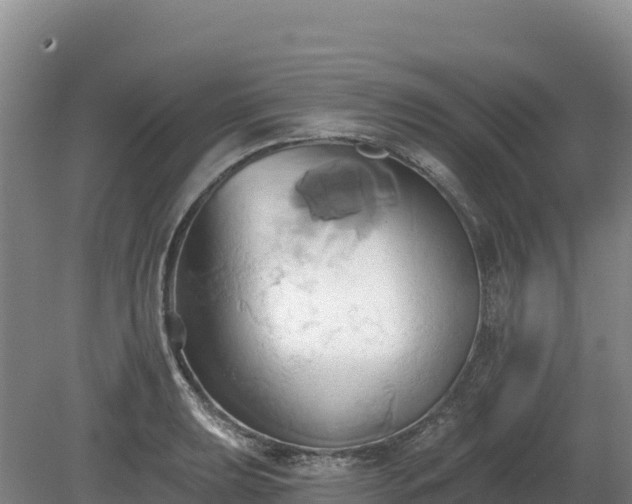 X0000081301039200701181830