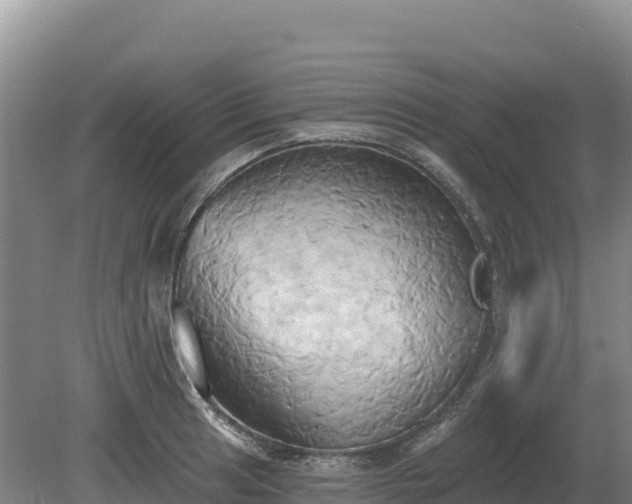 X0000081301041200701181830