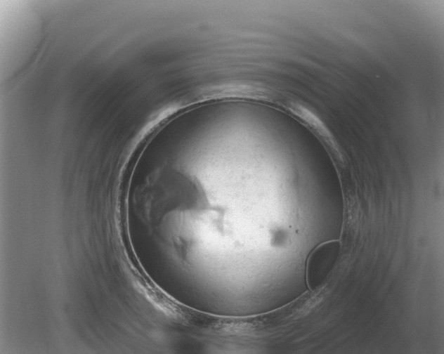 X0000081301043200701181830