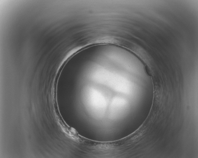 X0000081301044200701181830