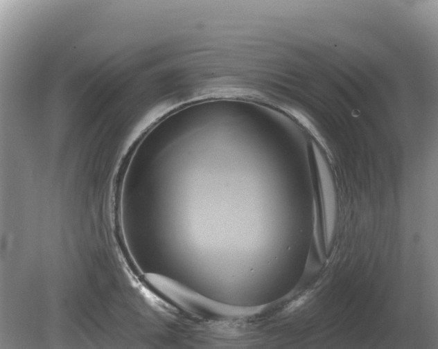 X0000081301046200701181830