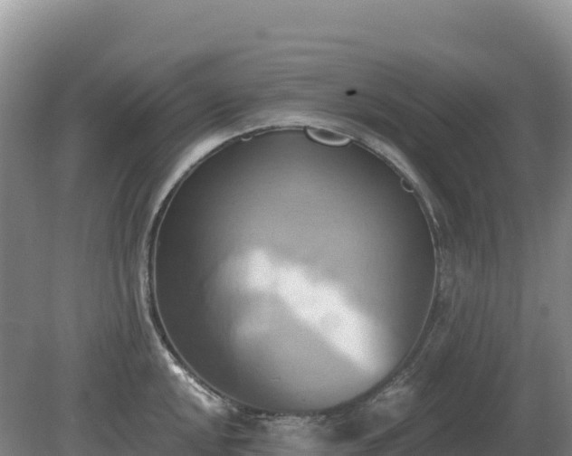 X0000081301048200701181830