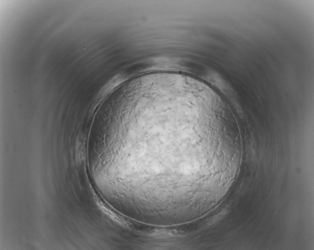 X0000081301049200701181830