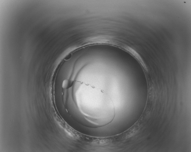 X0000081301051200701181830