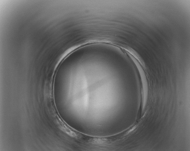 X0000081301052200701181830